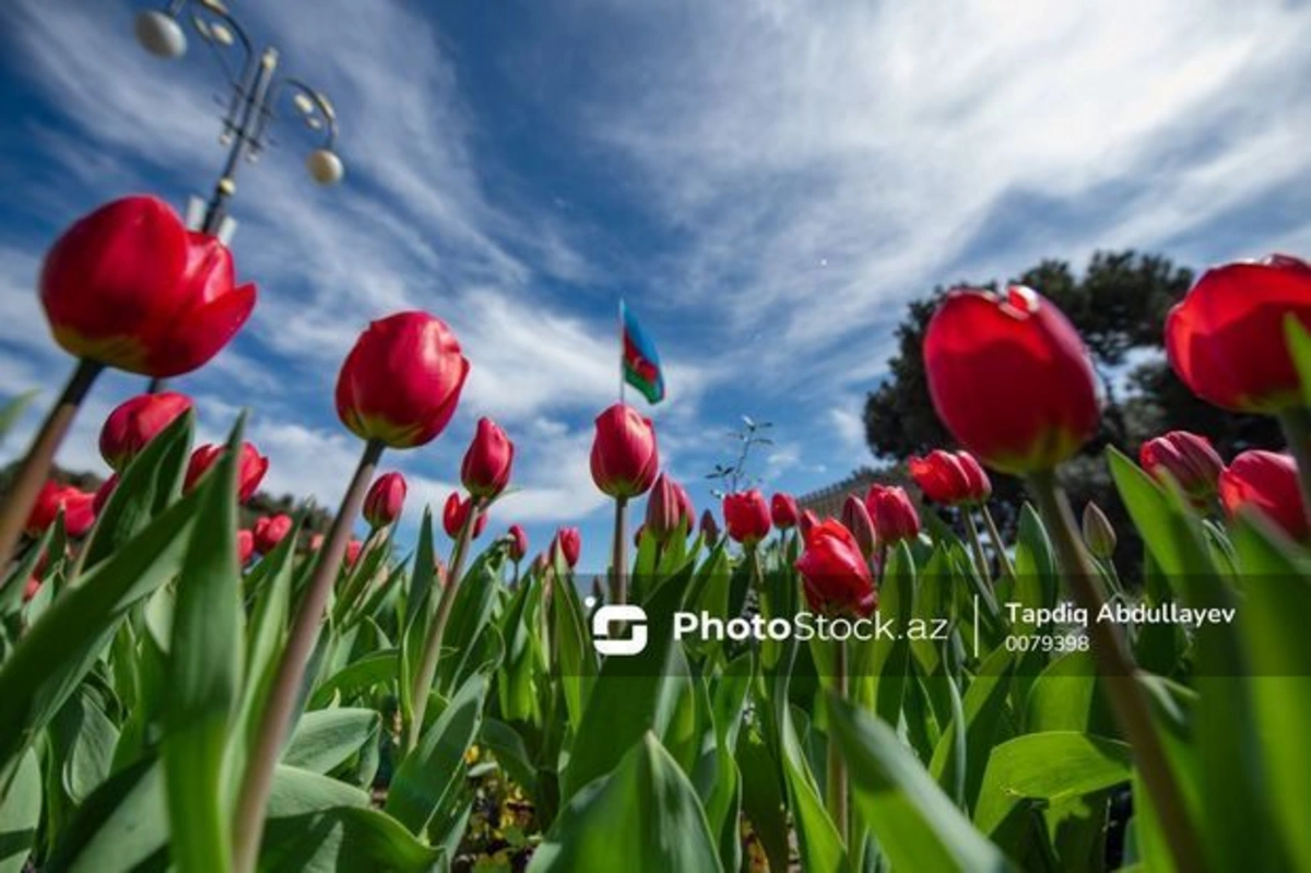 Прогноз погоды в Азербайджане на 17 апреля